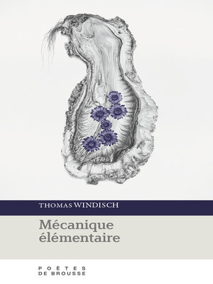 cover image of Mécanique élémentaire